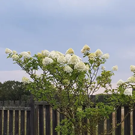 Beachhouse Langeland 20 M To Private * Tranekær