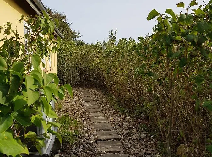 Beachhouse Langeland 20 M To Private *