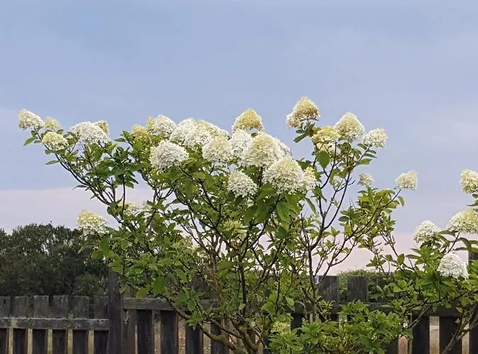 Beachhouse Langeland 20 M To Private * Tranekær