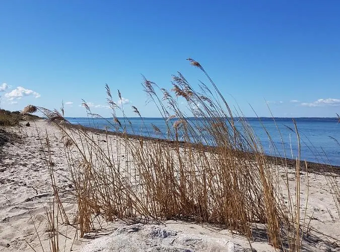 Beachhouse Langeland 20 M To Private Tranekær