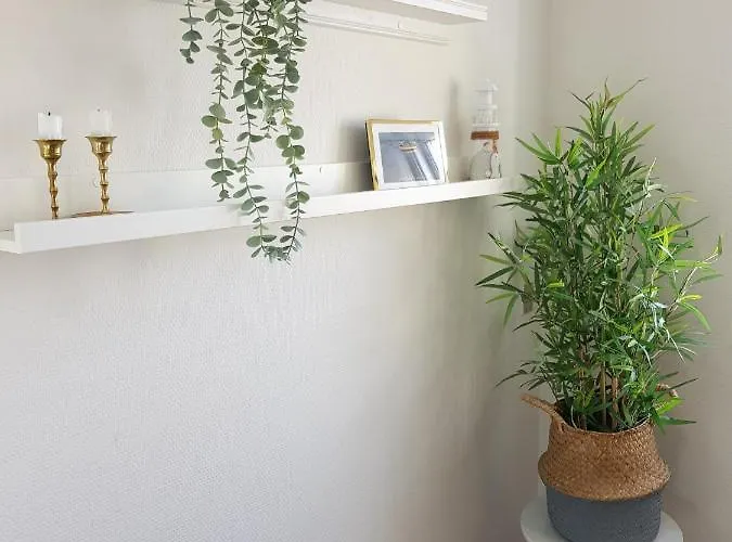 Beachhouse Langeland 20 M To Private *